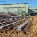 신평면사무소 이미지