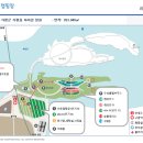 자라섬 캠핑장 이미지