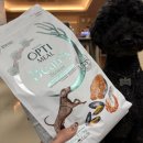 샤이니덴탈 | 옵티밀뷰티 저알러지사료 급여 후기 | 7살 스탠다드푸들 시월이 강아지사료 추천