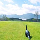 해양스크린골프연습장 이미지