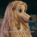 베르센트제주