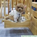 (주)아랑지 이미지