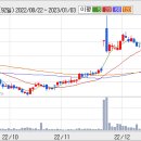 [대신증권]메리츠화재: FY09 2Q Review: 실적은 전망치를 상회했지만 자동차보험 손해율 급등은 주가에 부담요인 이미지