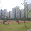 청아람2단지 앞 이미지