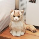 위더스인터내셔널 이미지