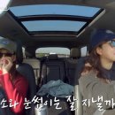 링고라이프