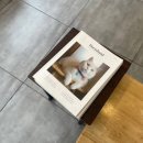 아이봄동물병원 이미지