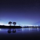 평사리의 별빛 이미지