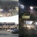 진도상설시장 이미지