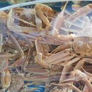 대방회집 이미지