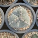 유가농장 이미지