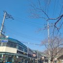 서울자동차정비(포항시)(터미널자동차정비) | [포항 내연산] 초등학생 등반 코스 완벽! 보경사 12폭포 트레킹