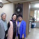 호산삼 이미지