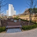 생태근린공원2 이미지