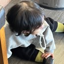 나무창작소 네이버블로그