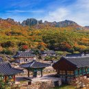 금강산 티스토리