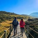 주식회사 올림픽호텔 이미지