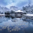 중한행정사 이미지