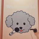 페퍼코인노래연습장 이미지