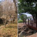 쌈지공원 이미지