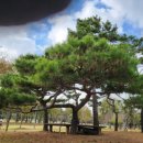 상록수파크 이미지