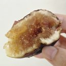 마루농장 | 해남여행 잘산템 진짜 맛있는 무화과 마루 추천 후기