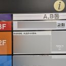 카시아타이용인 이미지