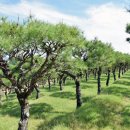 유토피아 이미지