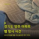 사단법인 한국동물구조관리협회 | 양주 아파트 반려 뱀 하천 방사 논란, 보호자가 꼭 알아야 할 책임 의무