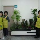 강서구종합사회복지관 이미지