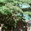 하늘정원민박 이미지