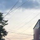 본죽중동교점 이미지