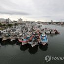 항구