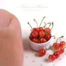 누누하우스 이미지