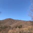 더함농장 이미지