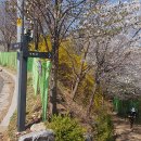 와우산배수지