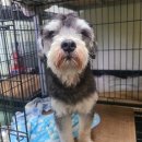 태백동행정복지센터 이미지