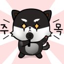 주택복권사랑방 이미지