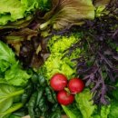 주은농장 이미지