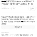예쁜동물나라