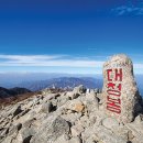 정상석 이미지