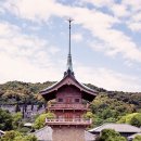 커플여행을 위한 일본 교토 완벽 뽀개기 & 숙소 추천 자유여행 이미지