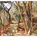 갈맷길(8코스) 이미지