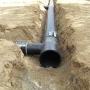 한국생명과학고등학교 이미지