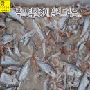 2024년 잡젓 10kg 37,000원 받으시면 바로 옮겨 담으시고 6개월 후에 드셔 보세요. 이미지