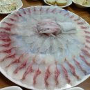 운영수산회센타 이미지