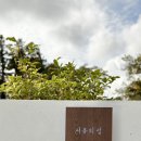 서유의섬 이미지