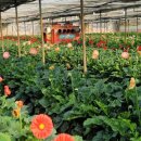 박인수농장 이미지