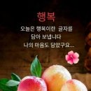 초복삼계탕 이미지