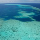 그레이트 팜 이미지